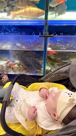 106K views · 364 reactions | I'm outta here!!! A fish leaped out of its tank onto a sleeping baby 凉 #reels #fish #fishing #baby #babies #escape #innovation #wildlife #wildlifeplanet #petstore | In The Know | Facebook