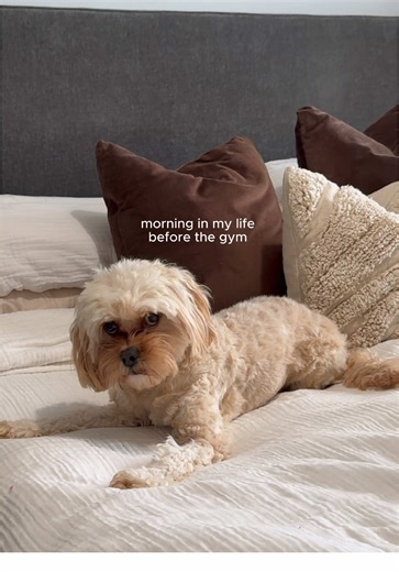 Coffee, creatine & carbs 💫 || @Women‘s Best have an amazing BF deal on creatine. Code NICO to save extra 💓