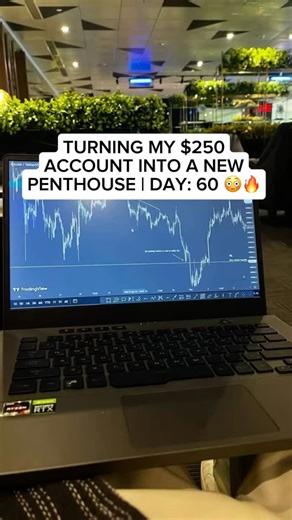 Flow | 60 days deep. $1,130 on this gold setup same style I’ve been showing y’all all year. This trade respected a 5M demand zone + daily FVG.... | Instagram