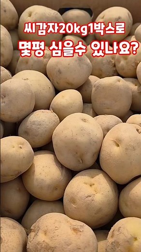 How many pyeong can I plant with 1 box (20kg) of Oga Farm Sumi seed potatoes? #shorts