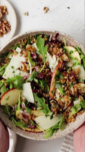 Farro salad is one of my favorite salads to make in the fall. It's made with nutty farro, apples, arugula, and tossed with a tangy apple cider vinaigrette. One bite and you'll be just as obsessed as I am! Recipe linked in the comments 🍎 #farrosalad #fallsalad #fallrecipes #easyrecipes | Love and Lemons