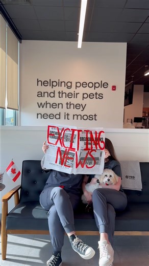 We’ve been keeping a secret. 🤫 A new VEG ER for Pets emergency vet hospital is almost here... and we’re counting down. Just 2 weeks until we let the cat out of the bag. 🐾 Our mission has always been to help people and their pets when they need it most - by providing 24/7 emergency care that treats the whole family with compassion and transparency, especially during the scariest moments. Follow along and drop your guesses on where we’re opening next 👇 | VEG ER for Pets