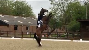 2.5K views · 33 reactions | Are you tired of hearing, “Just get back...