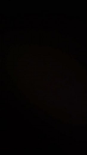 Blue bird Vision 235054