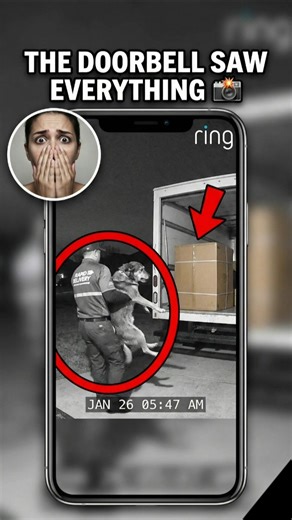 If You See a RED STICKER on Your Mailbox #pettheft #dog #karma #doorbell #justice #shorts