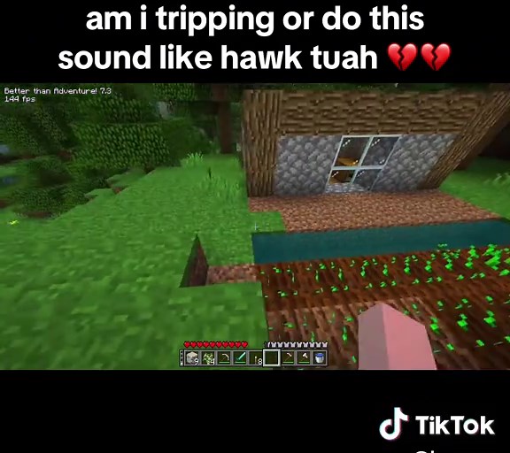 Understanding the Hawk Tuah Sound Phenomenon