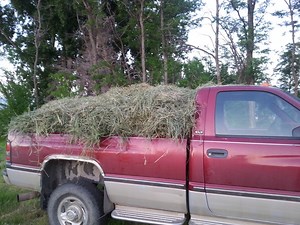 Haymaking Part 3 (Picking up and Loose Stacking Hay)