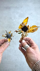 Susan has a black eye. Hand formed sterling silver with enamel. #nicoleringgold #autumnvibes | Nicole Ringgold Jewelry Designs