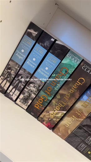 this is your sign to read the shadowhunter books. They are 10/10 in my opinion. 🤍 #shadowhunters #cassandraclare #books #booktok #fantasy