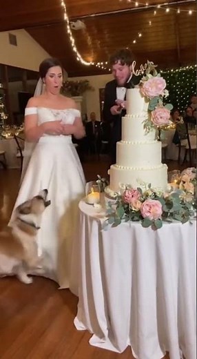 Funniest Wedding Cake Disaster Ever!