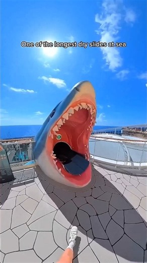 This Shark Slide Looks So Real! 🦈💦