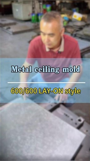 600/600 LAY-ON Aluminum Ceiling Tile Mold: Easily Expand Your Aluminum Ceiling Product Range