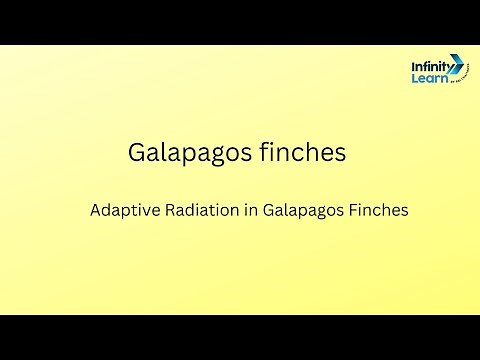 Galapagos finches ||Adaptive Radiation in Galapagos Finches||charles darwin s observation