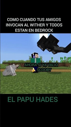 ahora sí ya valió vrg Scooby #scoobydoo #memes #funny #edit #minecraft