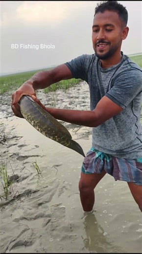 1 kg weight river big shoal fish catching || Unbelievable River Big Shol Fish Catching #shorts