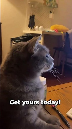 Dual Monitor Stand – Adjustable Bamboo Desk Riser with 3 Rotating Shelves