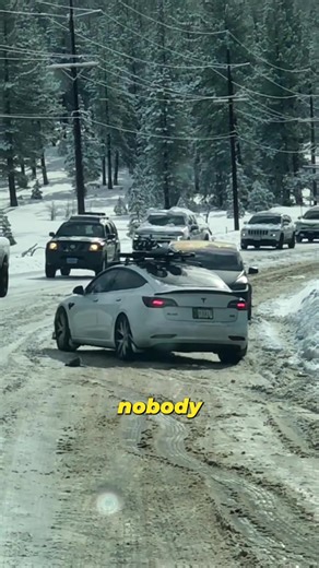 Emergency Escape Adapter for Vehicle Safety