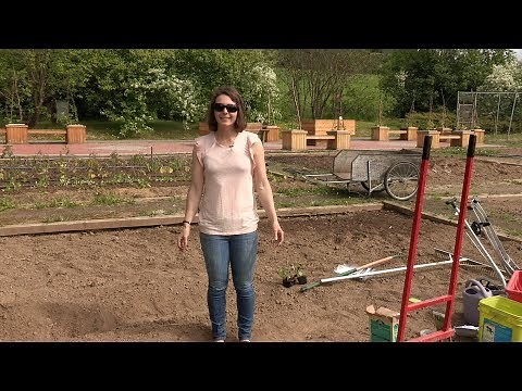 Getting Started in Your Garden – In the Alaska Garden with Heidi Rader