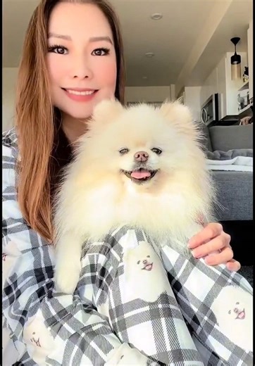 PetFace Pajamas no TikTok