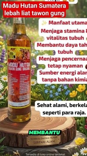 Madu Hutan Sumatera Madu Hutan Tawon Gung original