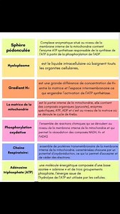 39 reactions | ATP unité 1: 2bac SVTF/SPF #svt #ATP #2bac #backtoschool | Svt Challal | Facebook