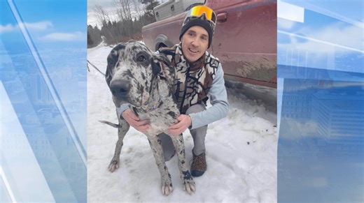 North Country drone pilot saves missing dogs with new rescue service