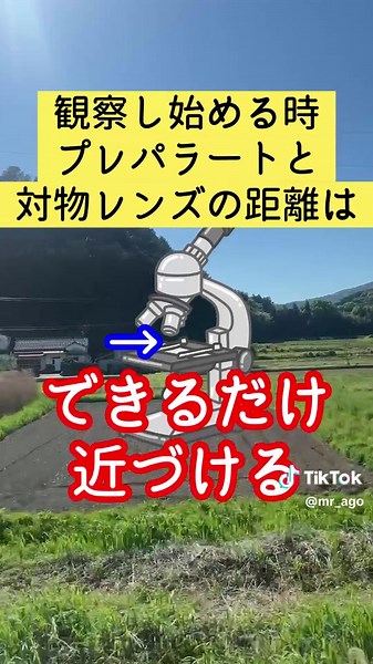 テスト対策：中1理科の生物と顕微鏡の使い方