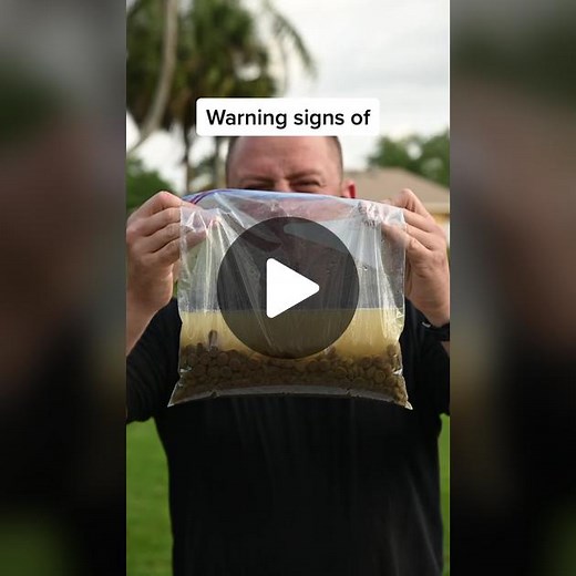 ⚠️Warning signs of 𝙱𝙻𝙾𝙰𝚃⚠️ #bloat #bloating #dogbloat #dogtraining #listenup #information #goodinformation #dogtrainer #dogtrainingtips #dogtrainingadvice