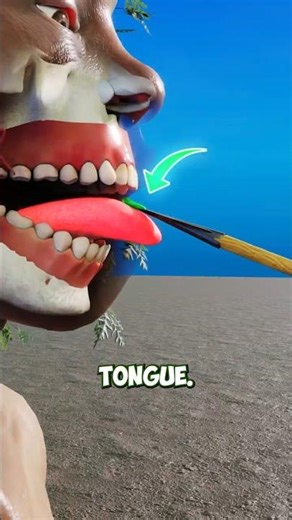 How ancient tribes make deadly poison arrows ☠️