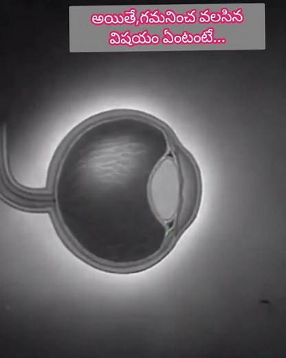 What is Persistence of vision? retinal persistence , persistence of impressions ,