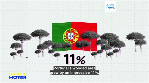 Europe's forests: Where are they growing fastest?