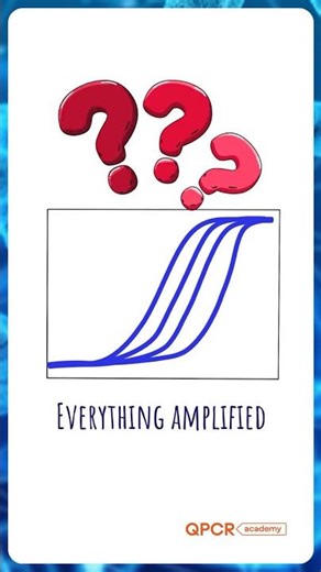 No-Template Control (NTC) in qPCR — Why It Matters #molecularbiology #phdlife #troubleshooting