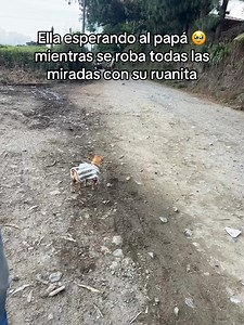 Cabalgata La Unión 2026 con perritos