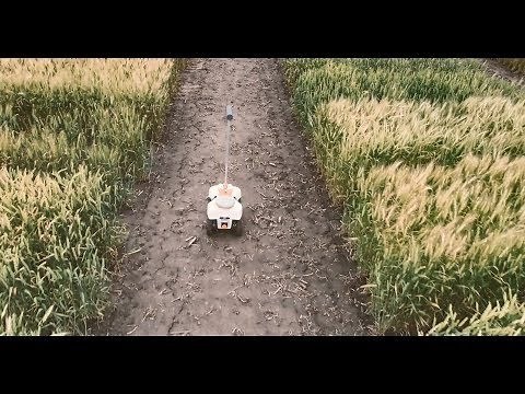 Modern agriculture: Robots and artificial intelligence in plant breeding | KWS World of Farming