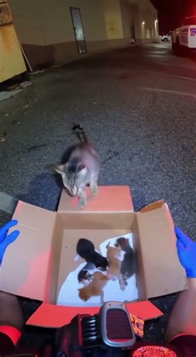 Officer Kim's Perfect Reunion Moment! #FamilyReunited