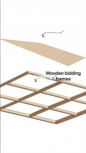 Custom Ceiling Designs That Change the Entire Look of Your Home