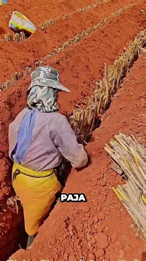 What are the Chinese burying so deep in the ground? 😲