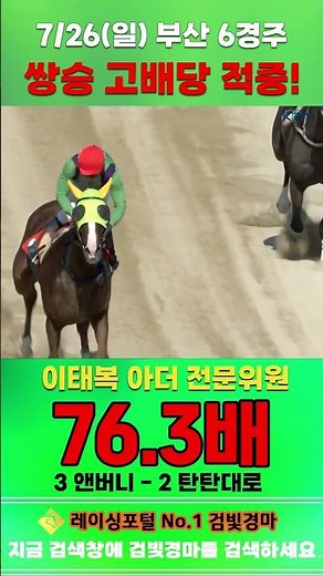 [Busan Horse Racing] July 26 Sunday Race 6, Expert Lee Tae-bok's Exacta High-Dividend Win #KoreaR...