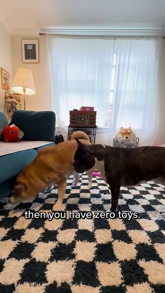 18K views · 188 reactions | 1 + 1⚾️ =  endless heaven  #dogmath #fivebelowfinds #DogsofTikTok | Five Below | Facebook