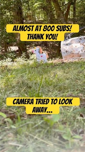 Exploding Piñata #ytshorts #shorts #fyp #growth #channelsubscribe #edc #edccommunity #outdoors