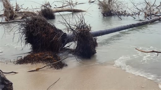 90 million tons of rock triggered the tallest wave ever recorded