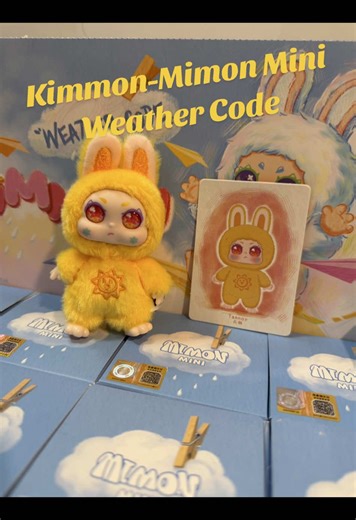 Kimmon-Mimon Mini Weather Code Plush Doll Unboxing