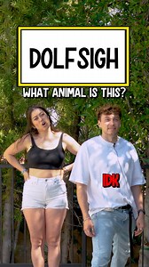 3.6M views · 44K reactions | What Animal Is This Remember To Follow For More! | Hanging Out | Facebook