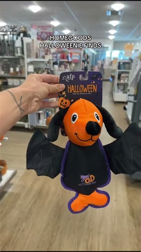 Keep the spooky doxies coming 🤎🎃👻🐶 #halloween #dachshund #homegoods #dachshundfinds