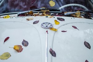How To Remove Leaf Stains From Car Paint (The Easy Way)