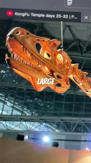 History of Deltadromeus 🤯