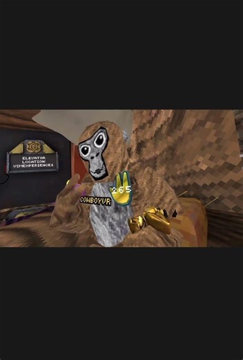 My color code #gt #gorillatag #vr #gtag