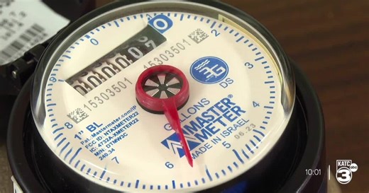 Electric water meters coming to Elton