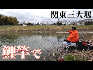岬のワンドで天国と地獄を噛みしめるヘラブナ釣り【茨城県取手市 小貝川 岡堰】