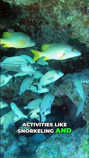 Key West: The Ultimate Florida Keys Travel Guide! #florida #wildlife #travel